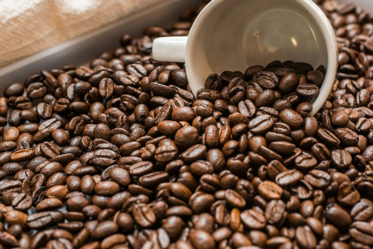 Cà phê X3 100% Robusta Nguyên Hạt - Ảnh 4