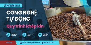 Công nghệ tự động và chất lượng cà phê