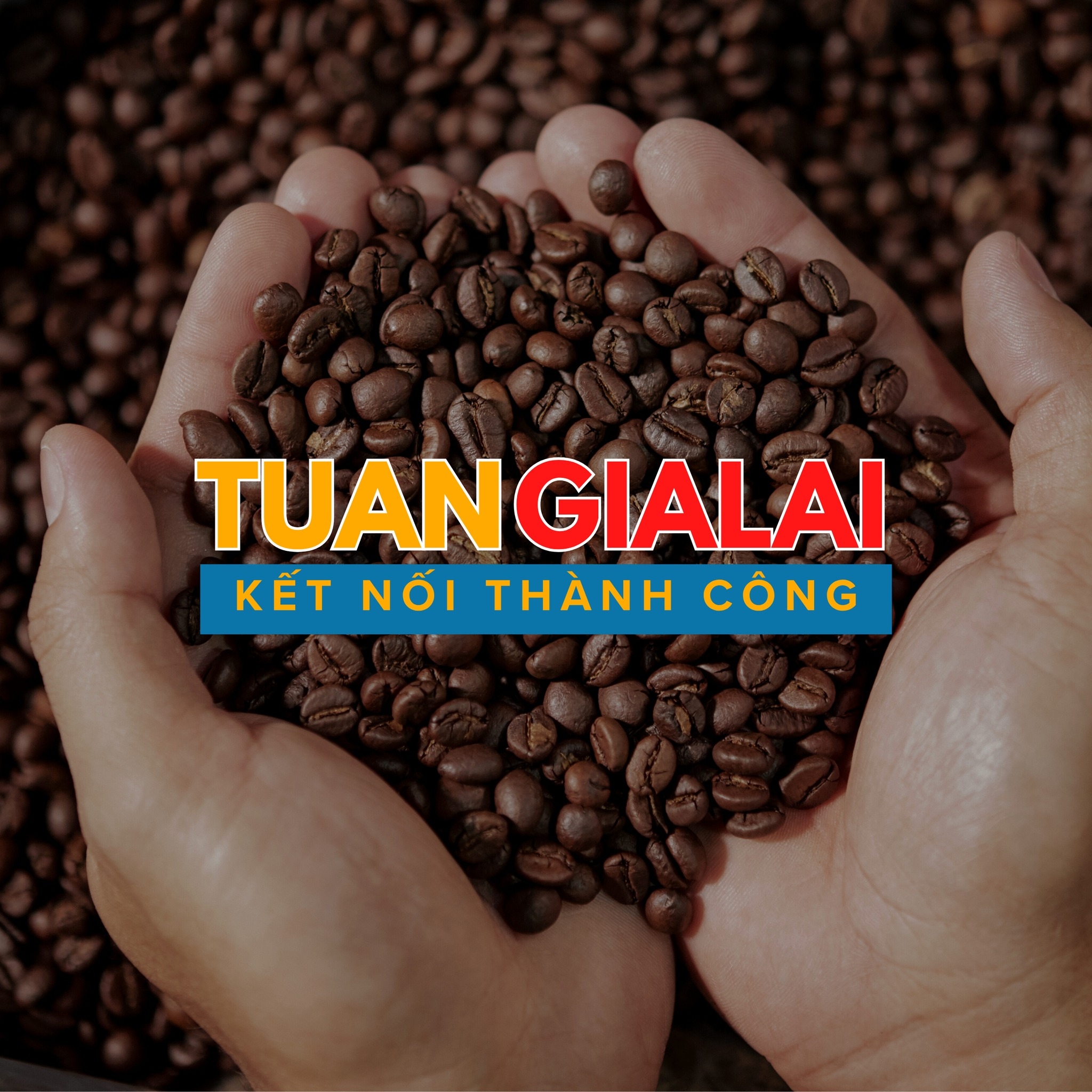 Cà phê X3 100% Robusta Nguyên Hạt - Ảnh 6