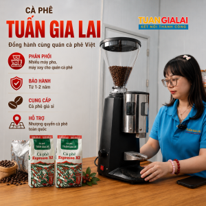 Máy Xay Cà Phê N900 – Giải Pháp Xay Cà Phê Chuyên Nghiệp Cho Quán Espresso